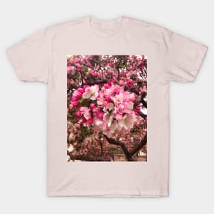 Springtime budding cherry blossoms T-Shirt